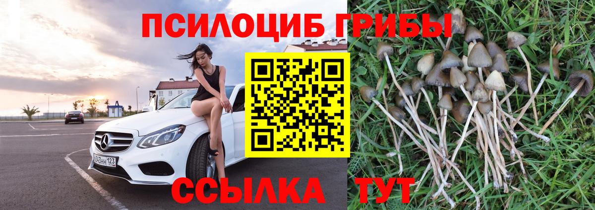Звенигород  Псилоцибиновые грибы ЛСД  Вход с VPN 